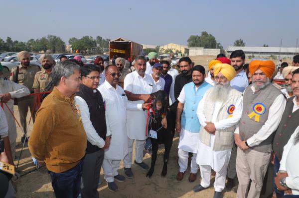 Dr. Jatinder Paul Singh Gill, Vice Chancellor, Guru Angad Dev Veterinary and Animal Sciences University, Ludhiana, Dr. Kuldip Gupta, Dean, College of Veterinary Science, Rampura Phul, along with the Chief Guest, Guest of Honour, and Special Guests